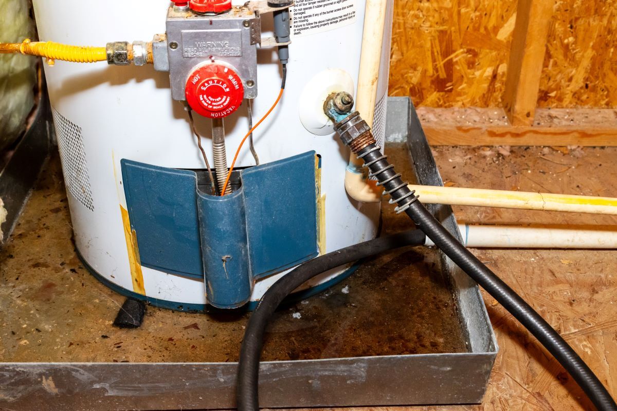 Hose connected to water heater drain, water in catch pan